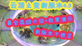 第411页